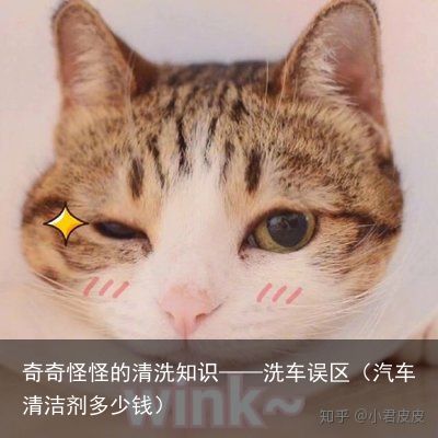 奇奇怪怪的清洗知识——洗车误区（汽车清洁剂多少钱）