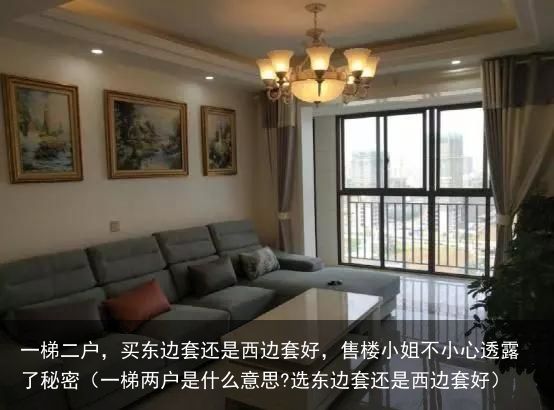 一梯二户，买东边套还是西边套好，售楼小姐不小心透露了秘密（一梯两户是什么意思?选