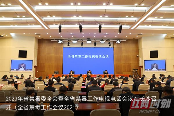 2023年省禁毒委全会暨全省禁毒工作电视电话会议在长沙召开（全省禁毒工作会议2021）