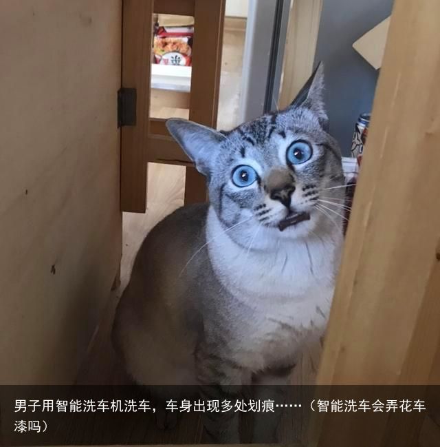 男子用智能洗车机洗车，车身出现多处划痕……（智能洗车会弄花车漆吗）