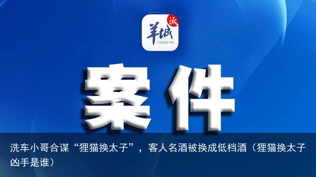 洗车小哥合谋“狸猫换太子”，客人名酒被换成低档酒（狸猫换太子凶手是谁）
