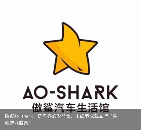 傲鲨Ao-shark：洗车界的爱马仕，用细节成就品牌（傲鲨智能股票）