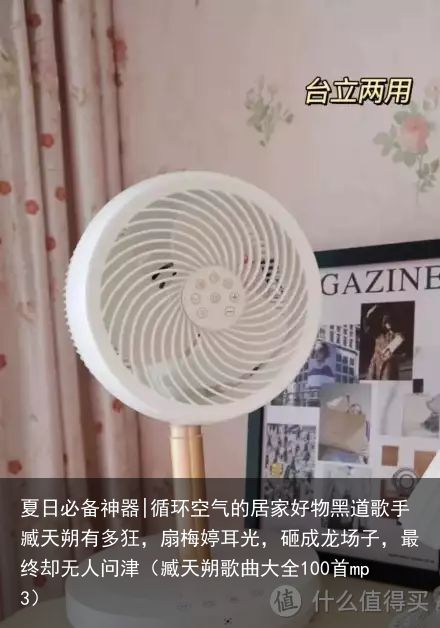 夏日必备神器|循环空气的居家好物黑道歌手臧天朔有多狂，扇梅婷耳光，砸成龙场子，最