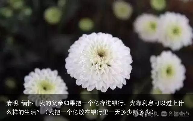 清明.缅怀｜我的父亲如果把一个亿存进银行，光靠利息可以过上什么样的生活？（我把一个亿放在银行里一天多少赚多少）