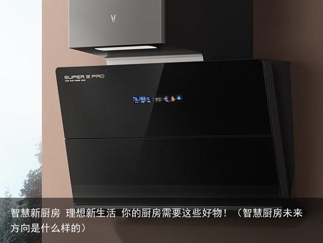 智慧新厨房 理想新生活 你的厨房需要这些好物！（智慧厨房未来方向是什么样的）