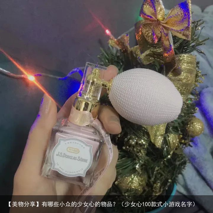 【美物分享】有哪些小众的少女心的物品？（少女心100款式小游戏名字）
