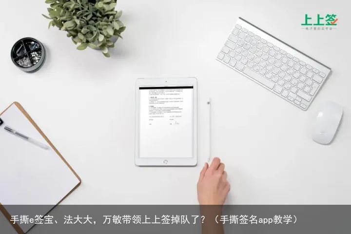 手撕e签宝、法大大，万敏带领上上签掉队了？（手撕签名app教学）