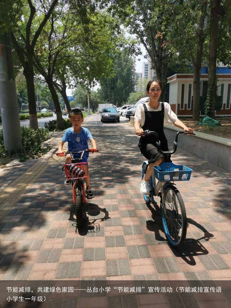 节能减排，共建绿色家园——丛台小学“节能减排”宣传活动（节能减排宣传语小学生一年级）