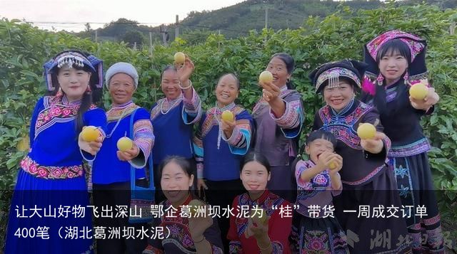 让大山好物飞出深山 鄂企葛洲坝水泥为“桂”带货 一周成交订单400笔（湖北葛洲坝