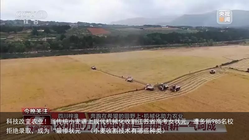 科技改变农业！当传统小麦遇上现代机械化收割江苏省高考女状元，遭多所985名校拒绝录取，成为“最惨状元”（小麦收割技术有哪些种类）