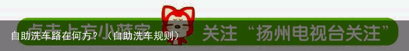 自助洗车路在何方？（自助洗车规则）