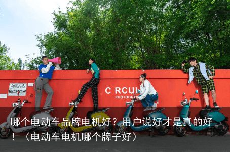 哪个电动车品牌电机好？用户说好才是真的好！（电动车电机哪个牌子好）