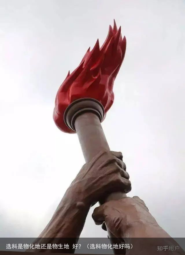 选科是物化地还是物生地 好？（选科物化地好吗）