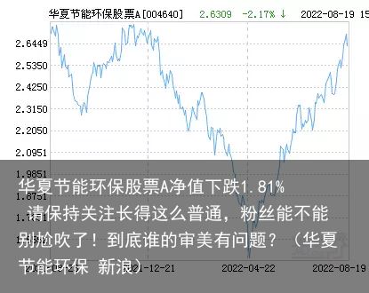 华夏节能环保股票A净值下跌1.81% 请保持关注长得这么普通，粉丝能不能别尬吹了！到底谁的审美有问题？（华夏节能环保 新浪）