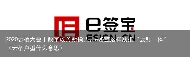 2020云栖大会丨数字政务新模式，e签宝这样助推“云钉一体”（云栖户型什么意思）