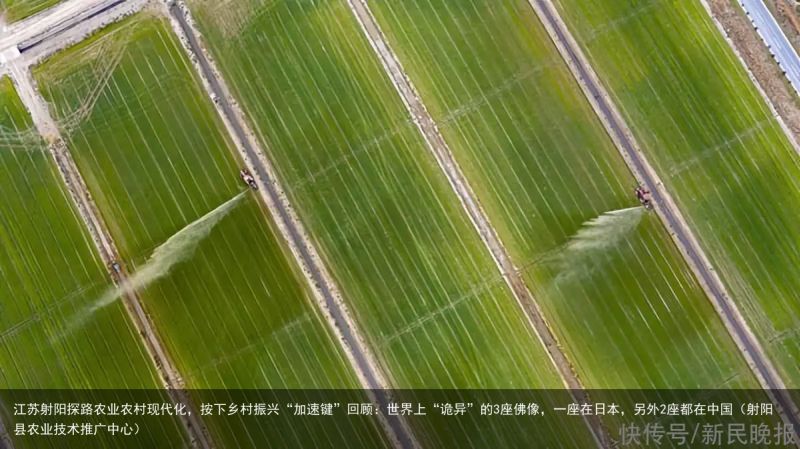 江苏射阳探路农业农村现代化，按下乡村振兴“加速键”回顾：世界上“诡异”的3座佛像，一座在日本，另外2座都在中国（射阳县农业技术推广中心）