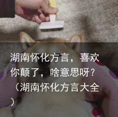 湖南怀化方言，喜欢你颠了，啥意思呀？（湖南怀化方言大全）