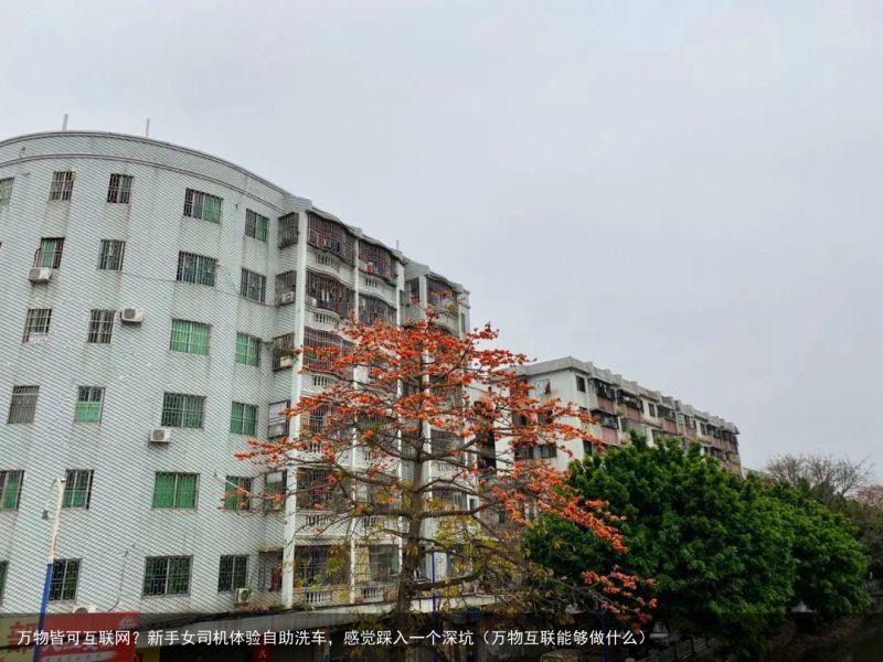 万物皆可互联网？新手女司机体验自助洗车，感觉踩入一个深坑（万物互联能够做什么）