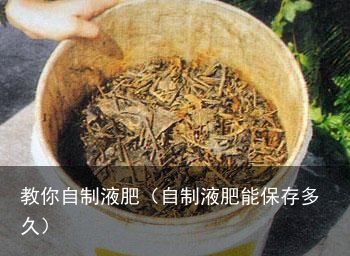 教你自制液肥（自制液肥能保存多久）