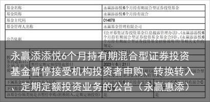 永赢添添悦6个月持有期混合型证券投资基金暂停接受机构投资者申购、转换转入、定期定额投资业务的公告（永赢惠添）