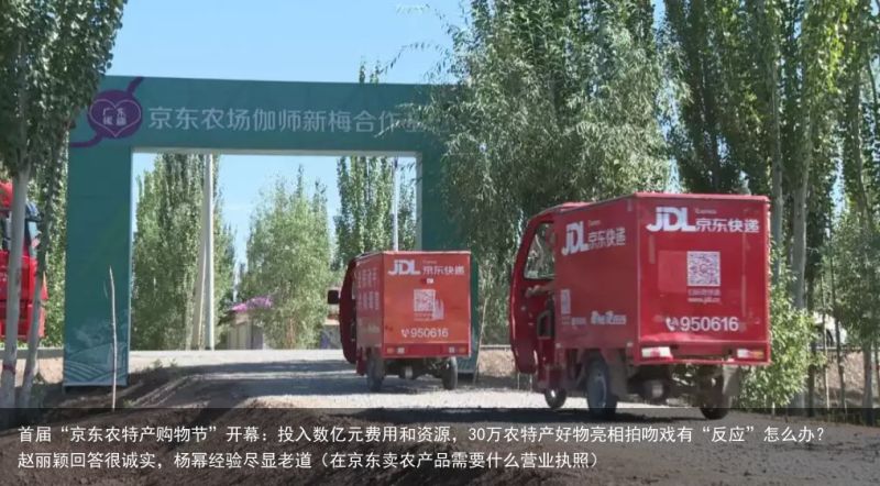 首届“京东农特产购物节”开幕：投入数亿元费用和资源，30万农特产好物亮相拍吻戏有