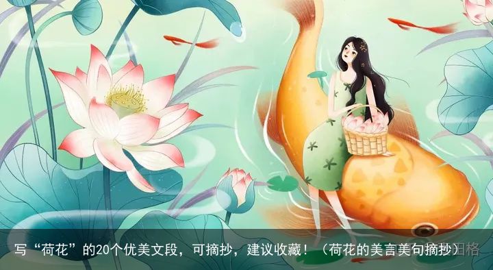 写“荷花”的20个优美文段，可摘抄，建议收藏！（荷花的美言美句摘抄）