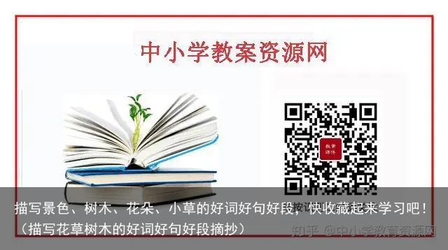 描写景色、树木、花朵、小草的好词好句好段，快收藏起来学习吧！（描写花草树木的好词