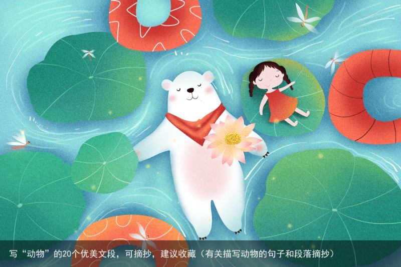 写“动物”的20个优美文段，可摘抄，建议收藏（有关描写动物的句子和段落摘抄）
