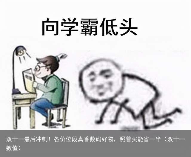 双十一最后冲刺！各价位段真香数码好物，照着买能省一半（双十一数值）