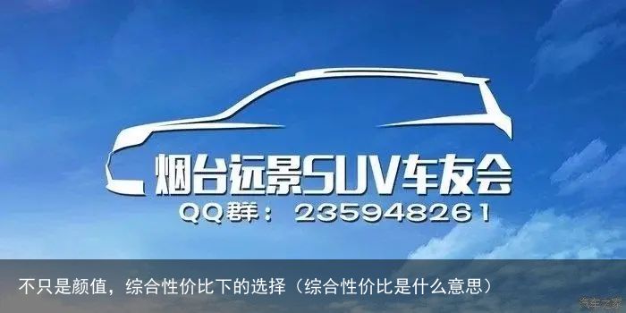 不只是颜值，综合性价比下的选择（综合性价比是什么意思）