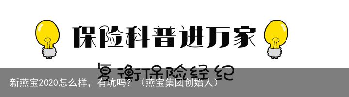 新燕宝2020怎么样，有坑吗？（燕宝集团创始人）