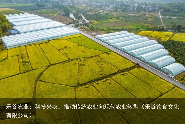 乐谷农业：科技兴农，推动传统农业向现代农业转型（乐谷饮食文化有限公司）