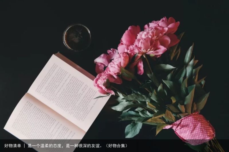 好物清单 | 是一个温柔的态度，是一种很深的友谊。（好物合集）