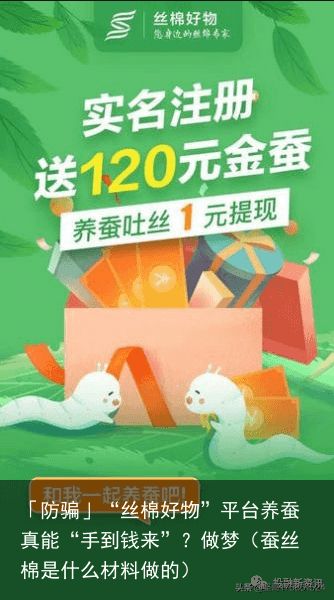 「防骗」“丝棉好物”平台养蚕真能“手到钱来”？做梦（蚕丝棉是什么材料做的）