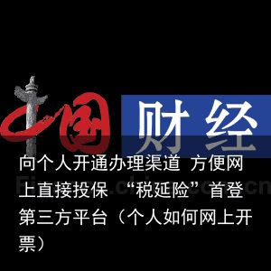 向个人开通办理渠道 方便网上直接投保 “税延险”首登第三方平台（个人如何网上开票）