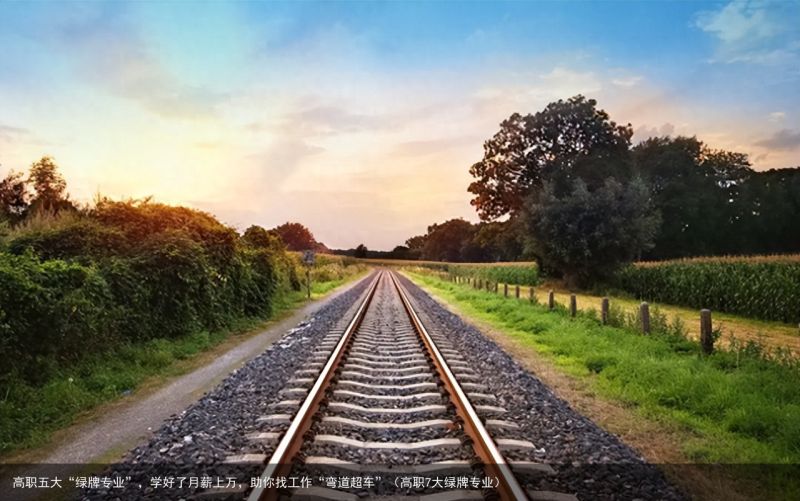 高职五大“绿牌专业”，学好了月薪上万，助你找工作“弯道超车”（高职7大绿牌专业）