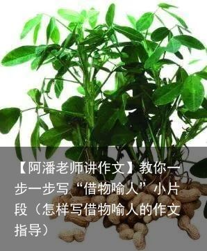 【阿潘老师讲作文】教你一步一步写“借物喻人”小片段（怎样写借物喻人的作文指导）