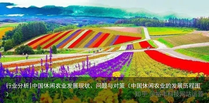 行业分析|中国休闲农业发展现状、问题与对策（中国休闲农业的发展历程图）