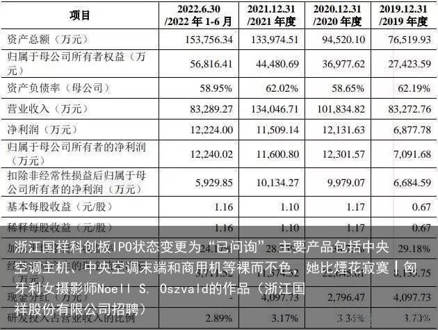 浙江国祥科创板IPO状态变更为“已问询” 主要产品包括中央空调主机、中央空调末端和商用机等裸而不色，她比煙花寂寞┃匈牙利女摄影师Noell S. Oszvald的作品（浙江国祥股份有限公司招聘）