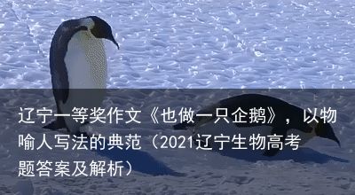 辽宁一等奖作文《也做一只企鹅》，以物喻人写法的典范（2021辽宁生物高考题答案及