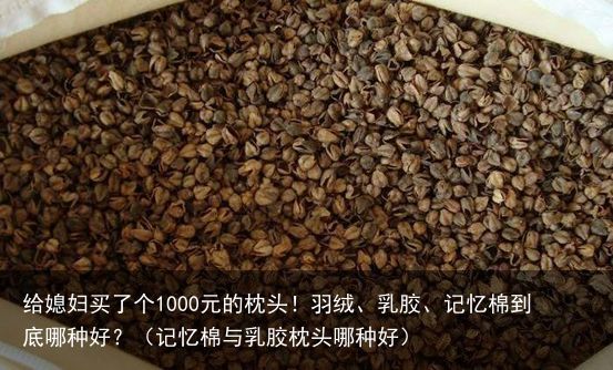 给媳妇买了个1000元的枕头！羽绒、乳胶、记忆棉到底哪种好？（记忆棉与乳胶枕头哪