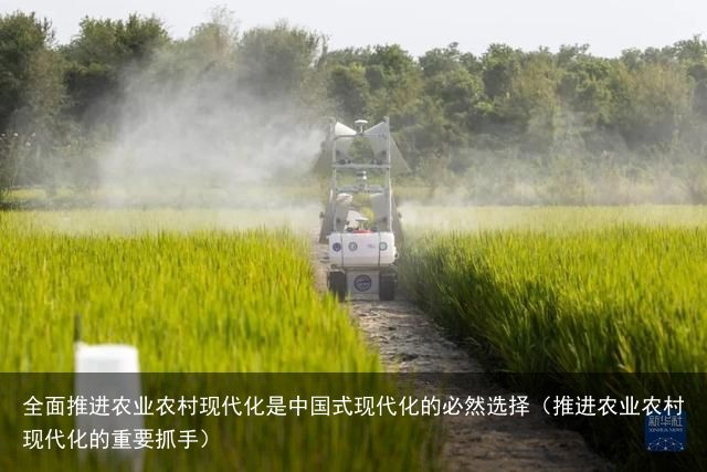 全面推进农业农村现代化是中国式现代化的必然选择（推进农业农村现代化的重要抓手）