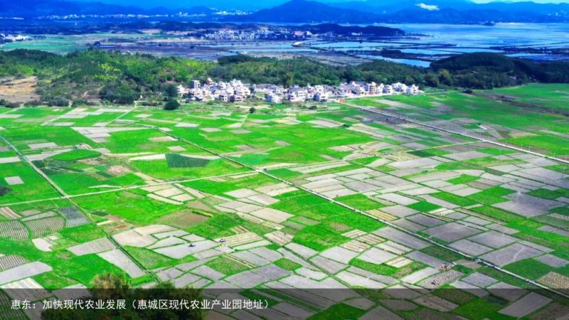 惠东：加快现代农业发展（惠城区现代农业产业园地址）