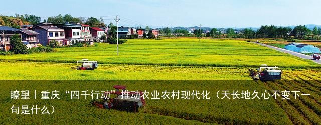 瞭望丨重庆“四千行动”推动农业农村现代化（天长地久心不变下一句是什么）