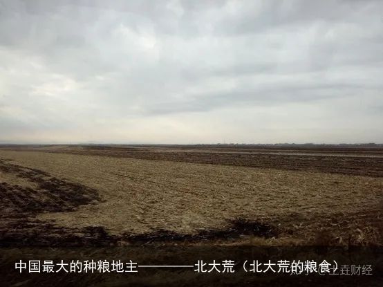 中国最大的种粮地主————北大荒（北大荒的粮食）