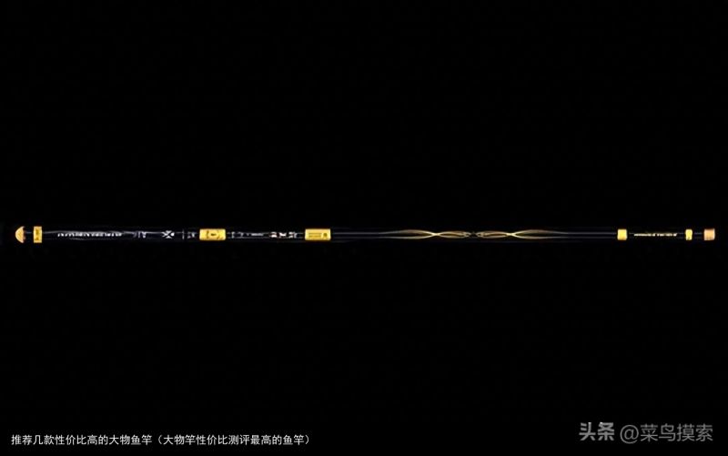 推荐几款性价比高的大物鱼竿（大物竿性价比测评最高的鱼竿）
