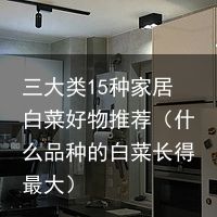 三大类15种家居白菜好物推荐（什么品种的白菜长得最大）