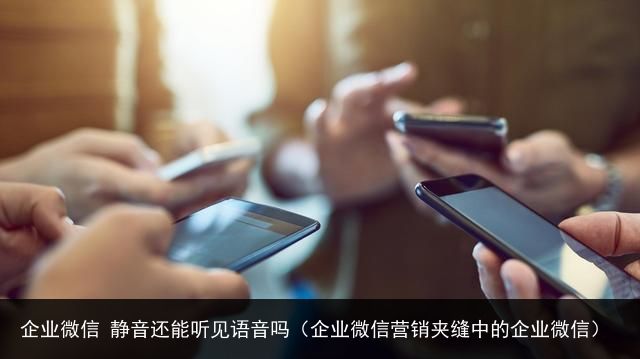 企业微信 静音还能听见语音吗（企业微信营销夹缝中的企业微信）