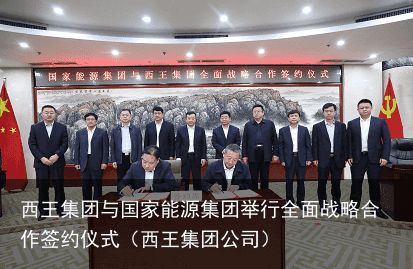 西王集团与国家能源集团举行全面战略合作签约仪式（西王集团公司）