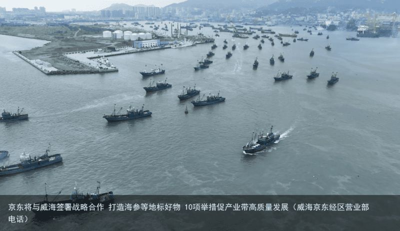 京东将与威海签署战略合作 打造海参等地标好物 10项举措促产业带高质量发展（威海